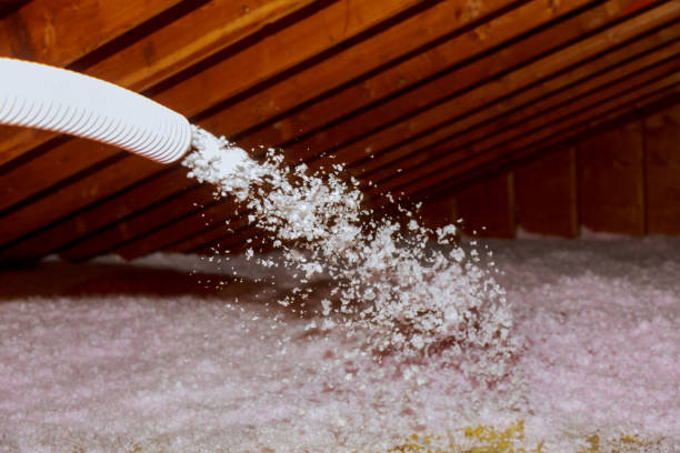 Types of Insulation We Offer in Galva, IL