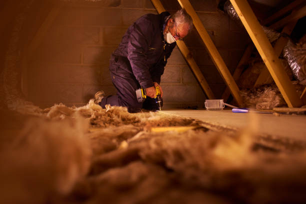Best Insulation Maintenance and Repair in Galva, IL